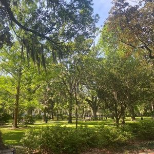 Meet your Posher, Frances